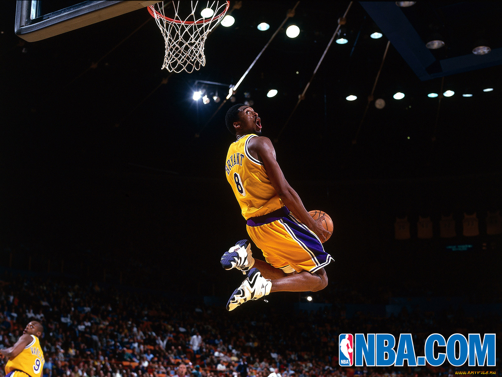 kobe, bryant, , 